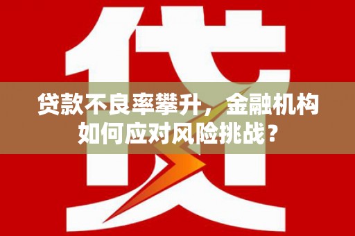东乡族贷款不良率攀升，金融机构如何应对风险挑战？
