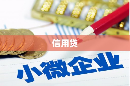 东乡族信用贷
