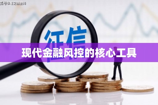 东乡族现代金融风控的核心工具