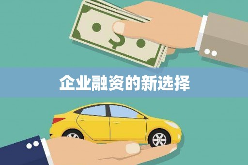 东乡族企业融资的新选择