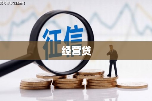 东乡族经营贷