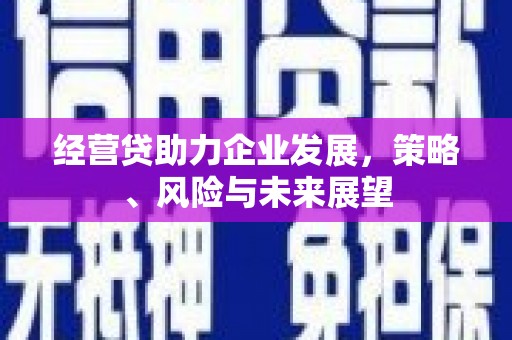 东乡族经营贷助力企业发展，策略、风险与未来展望