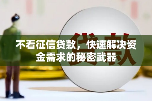 东乡族不看征信贷款，快速解决资金需求的秘密武器