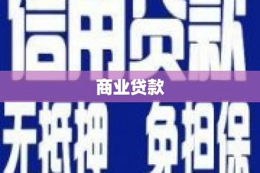 东乡族商业贷款