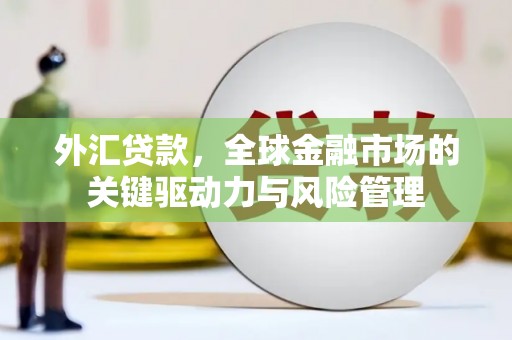 东乡族外汇贷款，全球金融市场的关键驱动力与风险管理