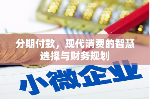 东乡族分期付款，现代消费的智慧选择与财务规划