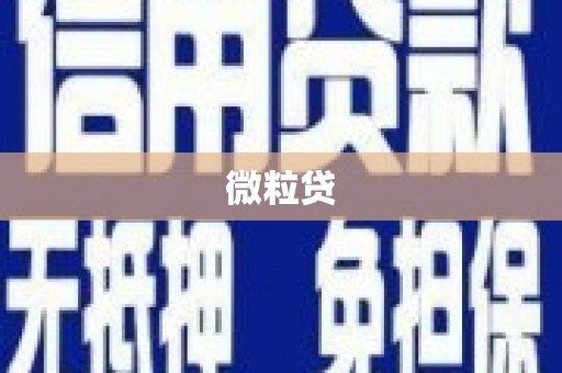 东乡族微粒贷