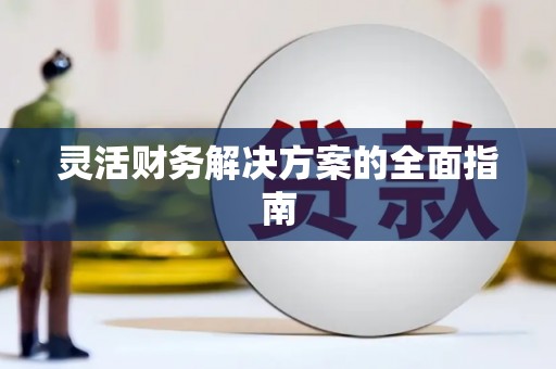 东乡族灵活财务解决方案的全面指南
