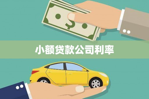 东乡族小额贷款公司利率