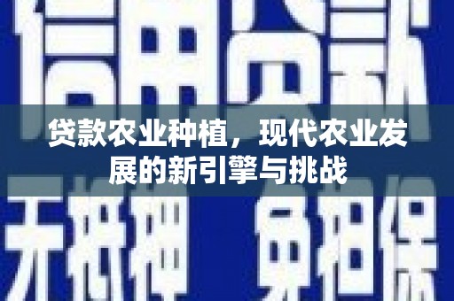 东乡族贷款农业种植，现代农业发展的新引擎与挑战