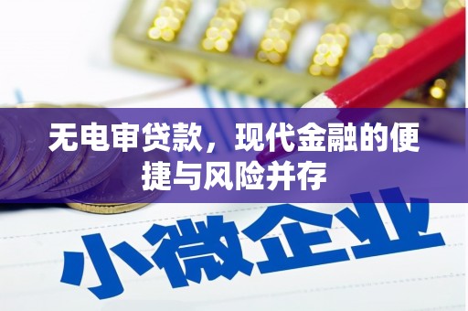 东乡族无电审贷款，现代金融的便捷与风险并存