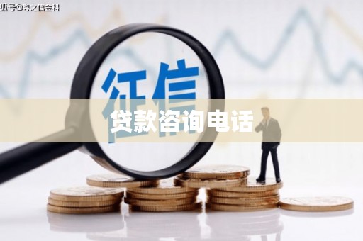 东乡族贷款咨询电话