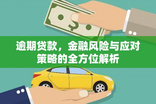 东乡族逾期贷款，金融风险与应对策略的全方位解析