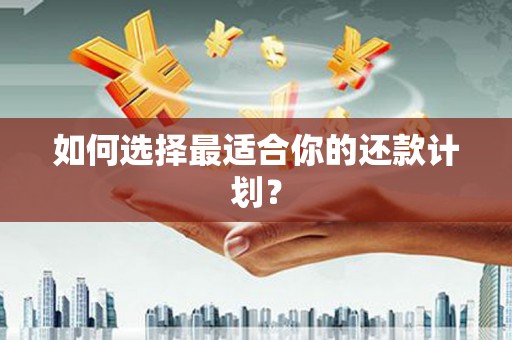 东乡族如何选择最适合你的还款计划？