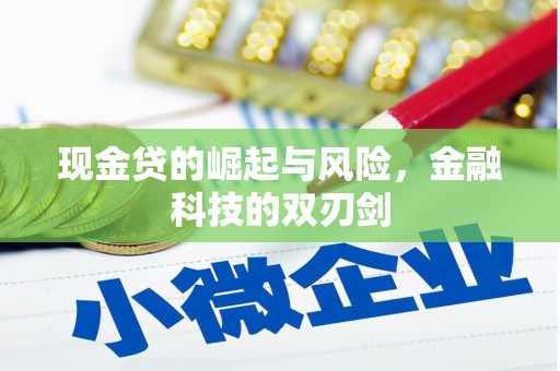 东乡族现金贷的崛起与风险，金融科技的双刃剑