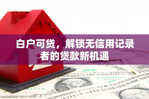 东乡族白户可贷，解锁无信用记录者的贷款新机遇