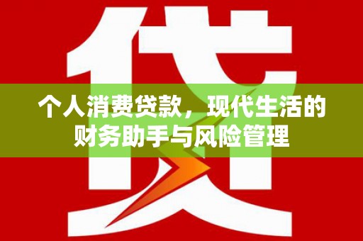东乡族个人消费贷款，现代生活的财务助手与风险管理