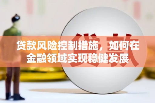 东乡族贷款风险控制措施，如何在金融领域实现稳健发展