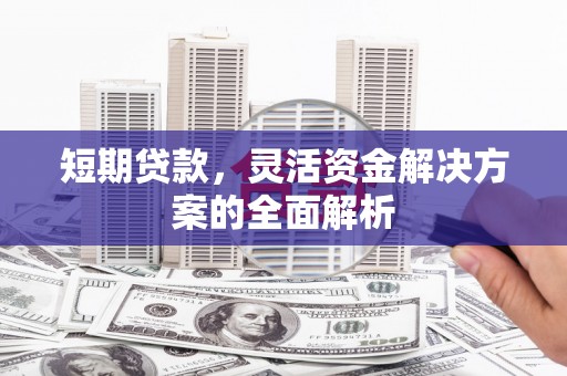 东乡族短期贷款，灵活资金解决方案的全面解析