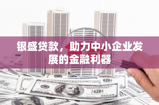 东乡族银盛贷款，助力中小企业发展的金融利器