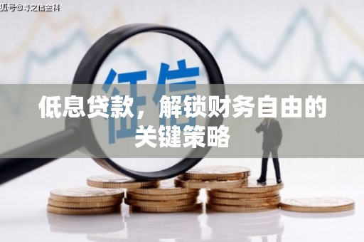 东乡族低息贷款，解锁财务自由的关键策略