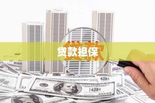 东乡族贷款担保