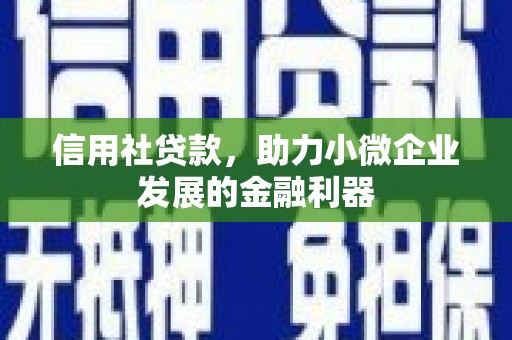 东乡族信用社贷款，助力小微企业发展的金融利器