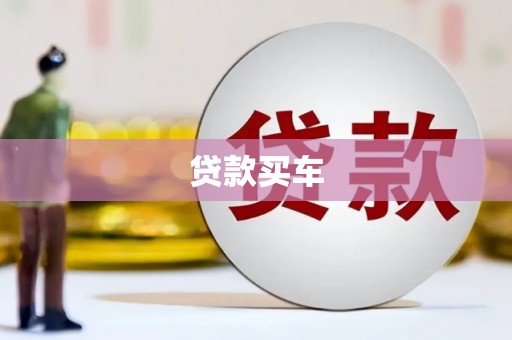 东乡族贷款买车