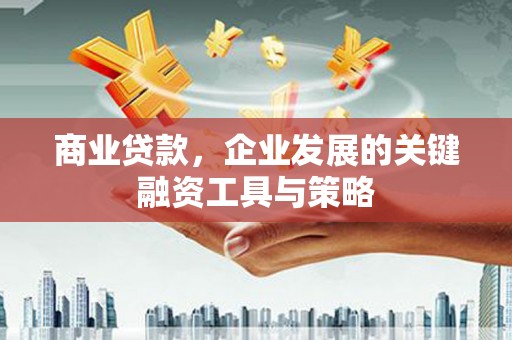 东乡族商业贷款，企业发展的关键融资工具与策略