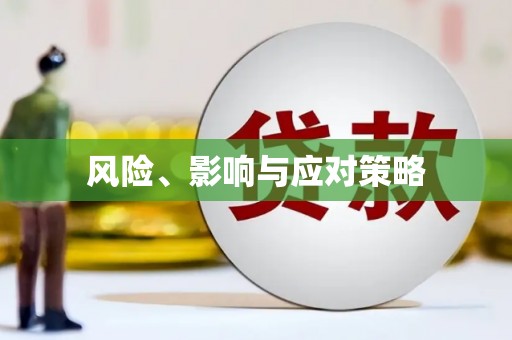 东乡族风险、影响与应对策略