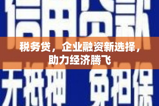 东乡族税务贷，企业融资新选择，助力经济腾飞