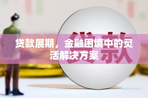 东乡族贷款展期，金融困境中的灵活解决方案