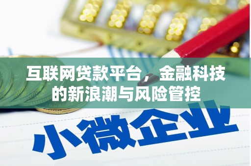 东乡族互联网贷款平台，金融科技的新浪潮与风险管控