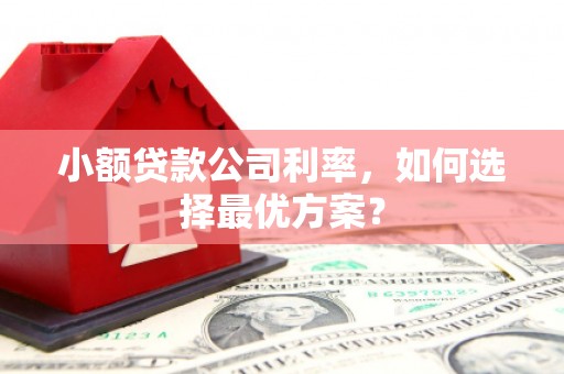 东乡族小额贷款公司利率，如何选择最优方案？