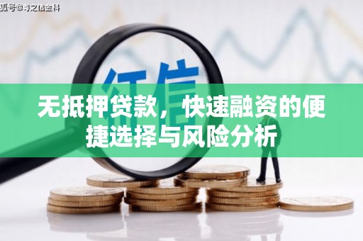 东乡族无抵押贷款，快速融资的便捷选择与风险分析