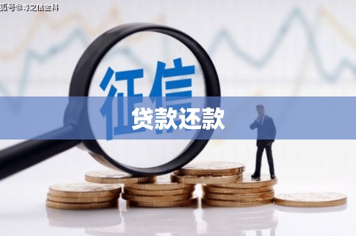 东乡族贷款还款