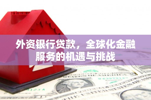 东乡族外资银行贷款，全球化金融服务的机遇与挑战