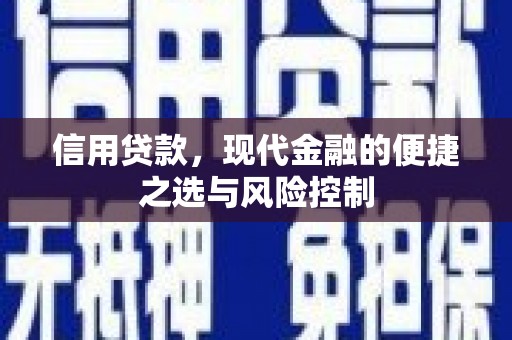 东乡族信用贷款，现代金融的便捷之选与风险控制