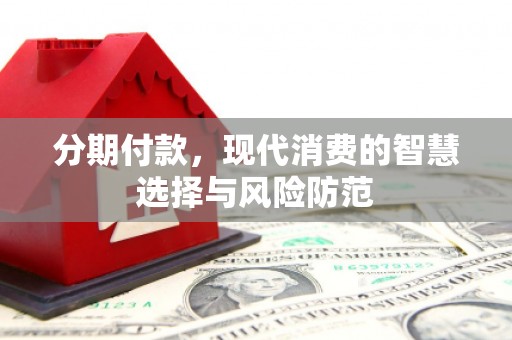 东乡族分期付款，现代消费的智慧选择与风险防范