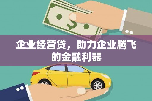 东乡族企业经营贷，助力企业腾飞的金融利器