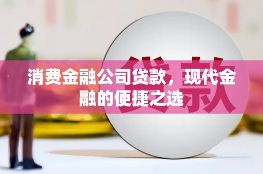 东乡族消费金融公司贷款，现代金融的便捷之选