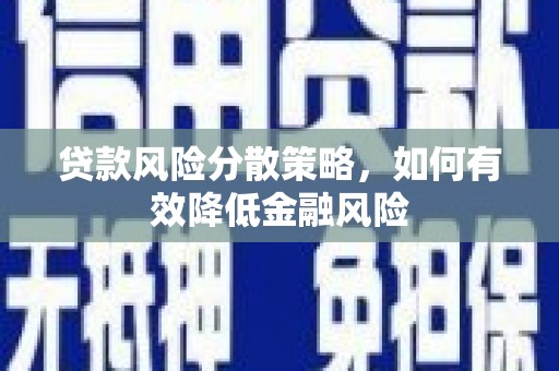 东乡族贷款风险分散策略，如何有效降低金融风险