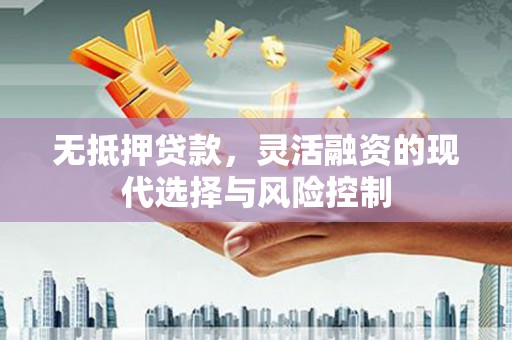 东乡族无抵押贷款，灵活融资的现代选择与风险控制