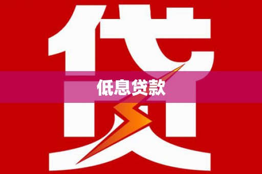 东乡族低息贷款