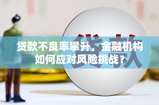 东乡族贷款不良率攀升，金融机构如何应对风险挑战？
