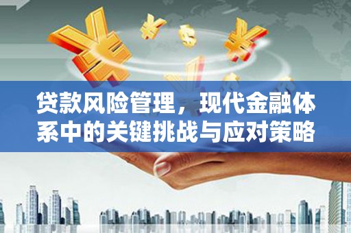 东乡族贷款风险管理，现代金融体系中的关键挑战与应对策略