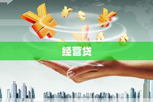 东乡族经营贷