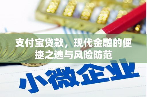 东乡族支付宝贷款，现代金融的便捷之选与风险防范