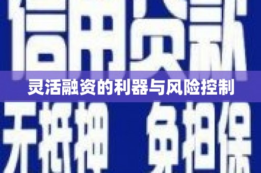 东乡族灵活融资的利器与风险控制