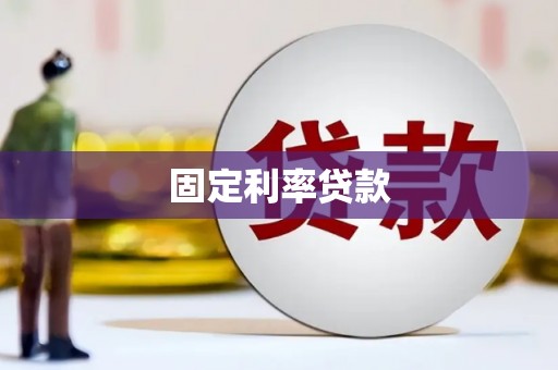 东乡族固定利率贷款